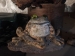 EA-F1 Early Frog