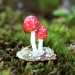 A-64 Tiny Toadstools