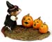 M-226 Pumpkin Serenade