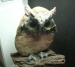 SO-1 Stone Owl